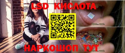 мяу мяу мука Камышлов